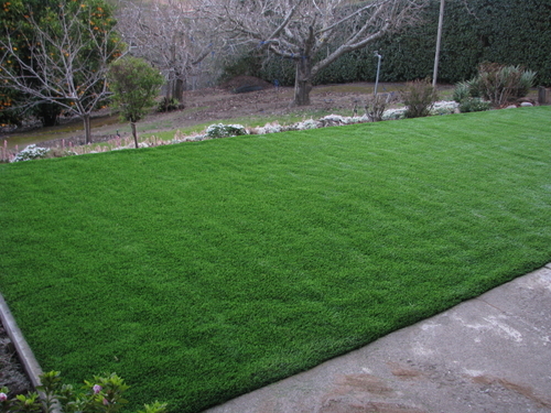 Top Benefits of Artificial Turf for Homeowners